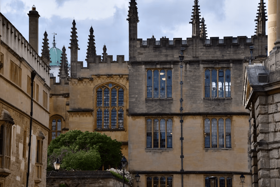 University background